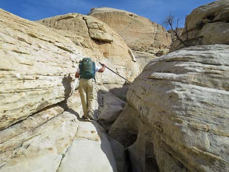 Calico Hills Loop Trail