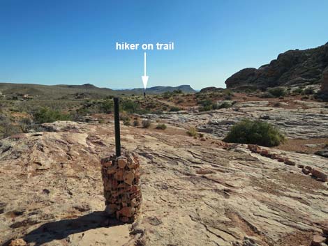 Calico Basin Trail