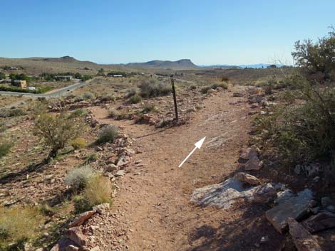 Calico Basin Trail