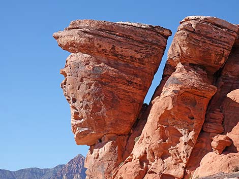 Calico Hills Loop Trail