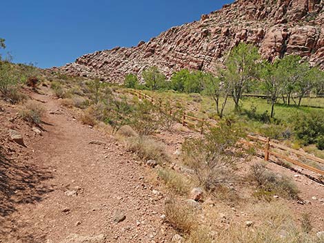 Calico Basin Overlook Trail