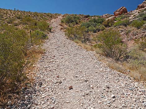 Calico Basin Overlook Trail