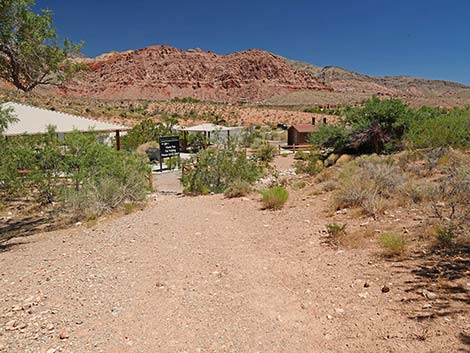 Calico Basin Overlook Trail