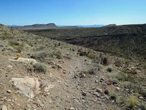 Calico Basin Overlook Trail