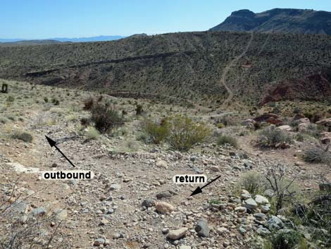 Calico Basin Overlook Trail