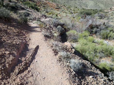 Calico Basin Overlook Trail