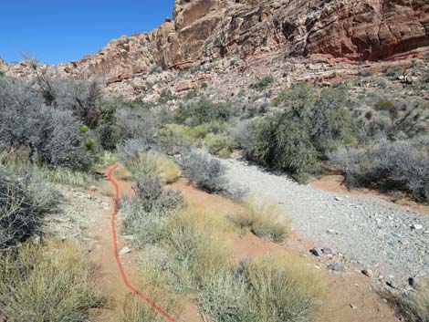 Calico Wash Trail