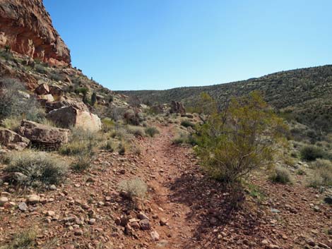 Calico Basin Overlook Trail