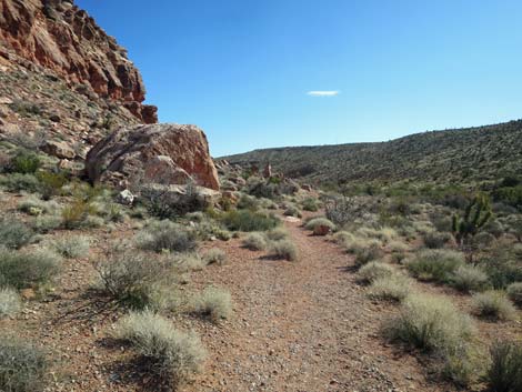 Calico Wash Trail