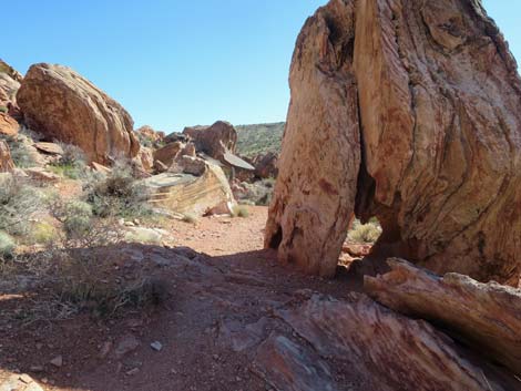 Calico Basin Overlook Trail