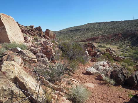 Calico Basin Overlook Trail