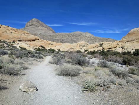 Calico Tanks Trail