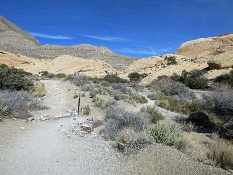 Calico Tanks Trail