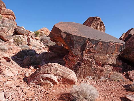 Calico Wash Trail