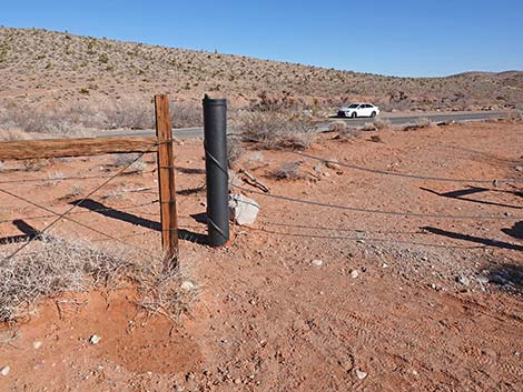 Calico Wash Trail