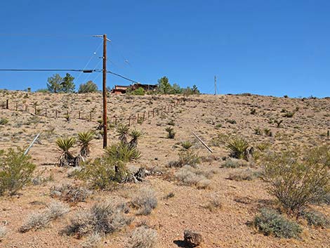 Calico Wash Trail