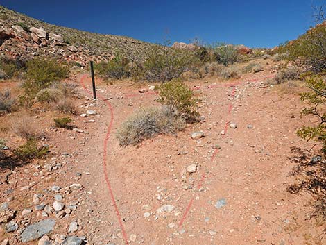 Calico Wash Trail