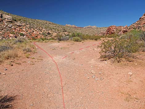 Calico Wash Trail