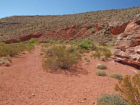 Calico Wash Trail