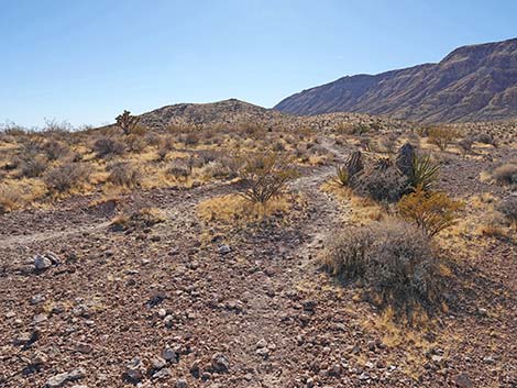 Fire Station Hill Trail