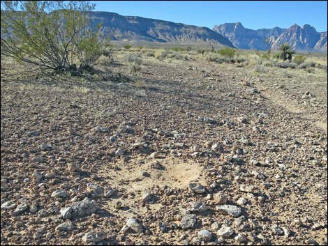 Campground Flats Loop Trail