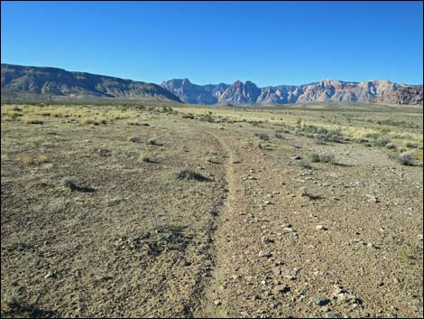 Campground Flats Loop Trail