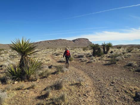 Gun Range Ridge Loop