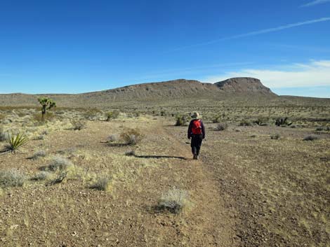 Gun Range Ridge Loop