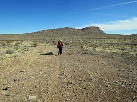 Gun Range Ridge Loop