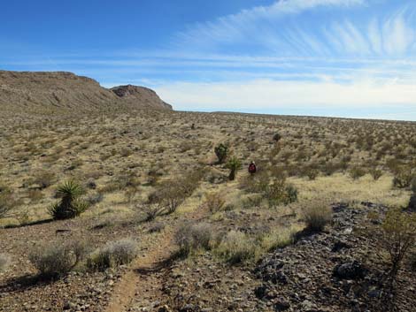 Gun Range Ridge Loop