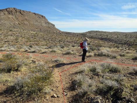 Gun Range Ridge Loop