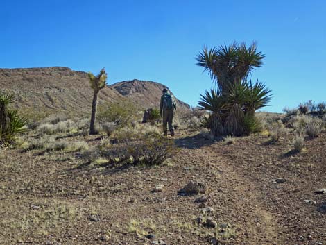 Gun Range Ridge