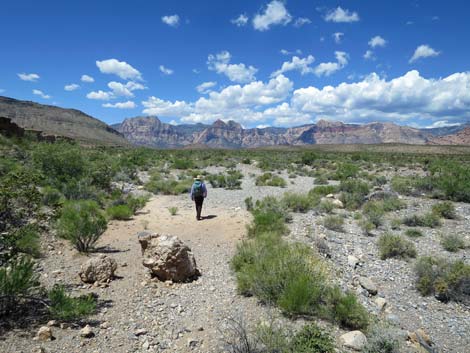 Campground Wash Trail