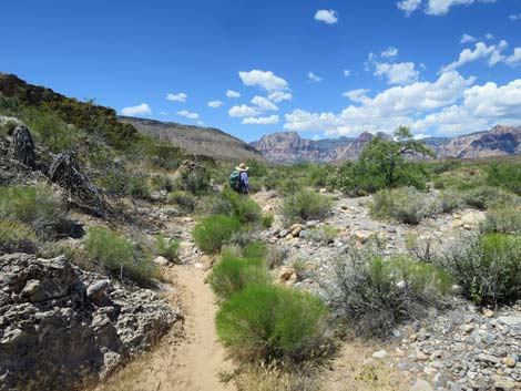 Campground Wash Trail