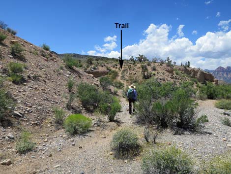 Campground Wash Trail