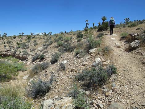 Campground Wash Trail