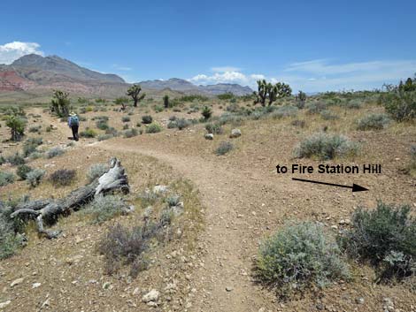 Campground Wash Trail