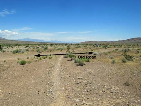 Campground Wash Trail