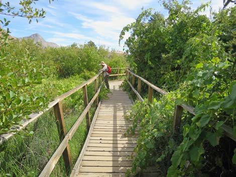 Childrens Discovery Trail