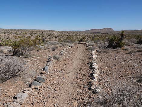 Entrance Station to Calico Basin Trail