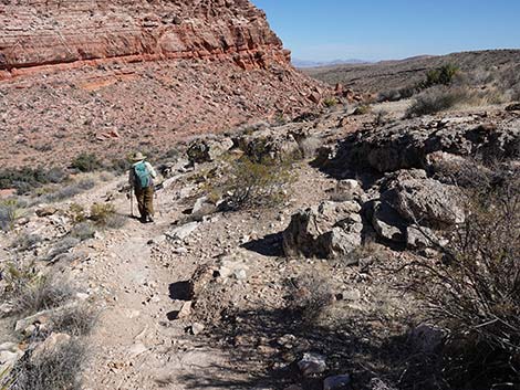 Entrance Station to Calico Basin Trail