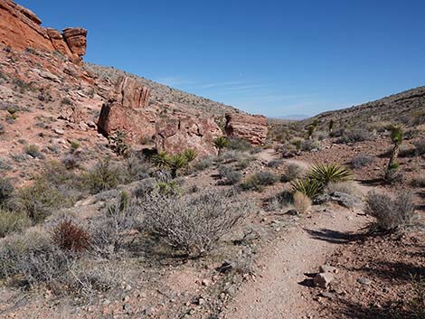 Entrance Station to Calico Basin Trail