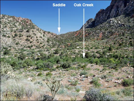 Escarpment Route