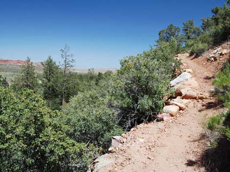 Escarpment Trail