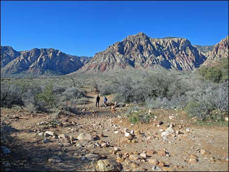 First Creek Canyon