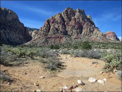 First Creek Canyon