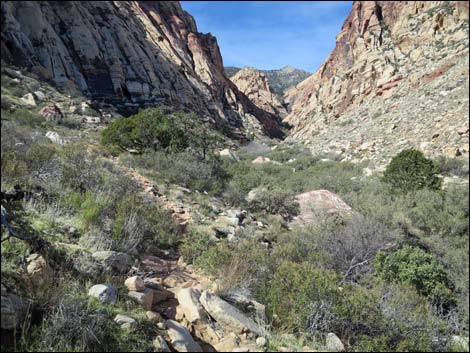 First Creek Canyon