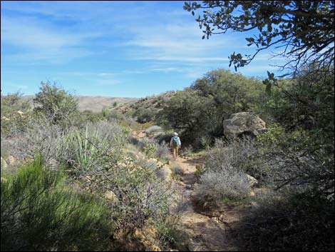 First Creek Canyon