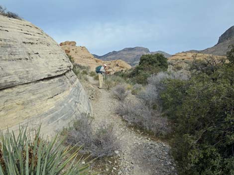 Grand Circle Trail