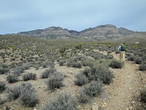 Grand Circle Trail